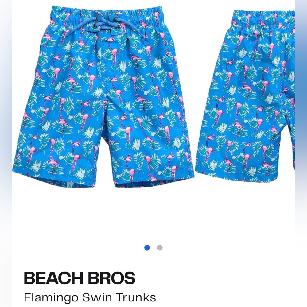 Flamingo Swim Trucks.